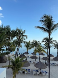 Ocean view