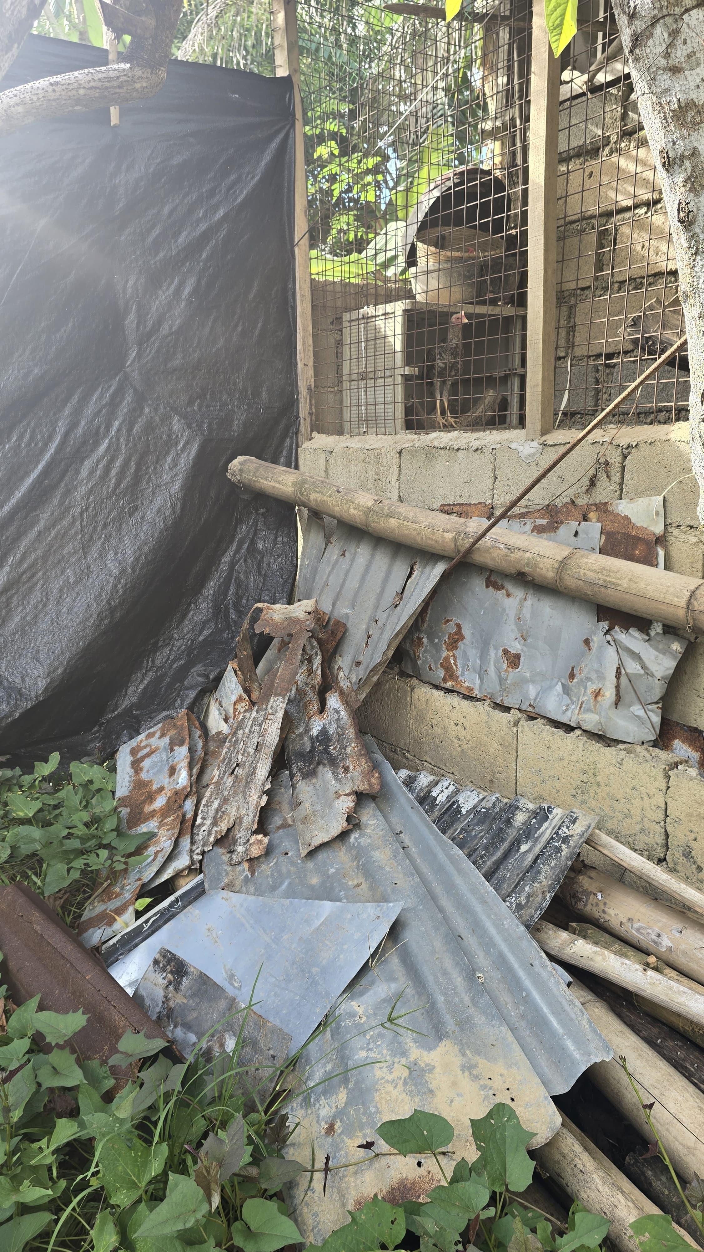 Poulailler, encombrants