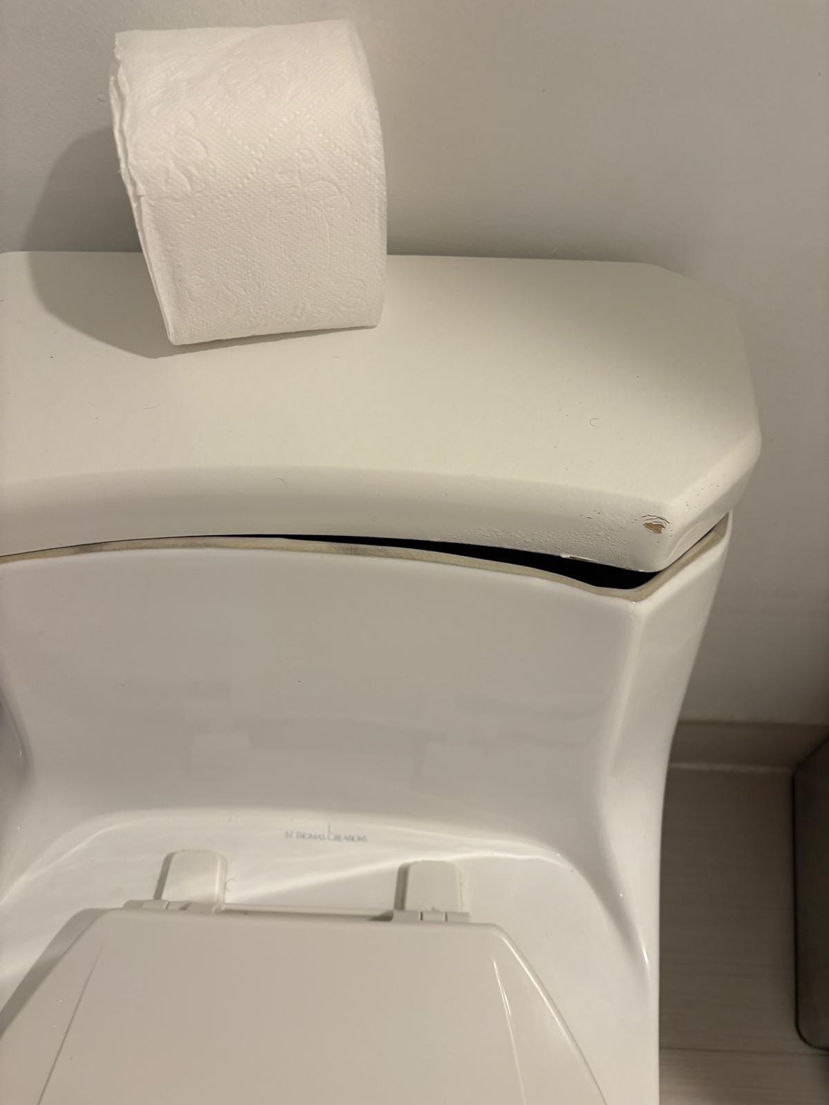 Die Klospülung lief ständig nach