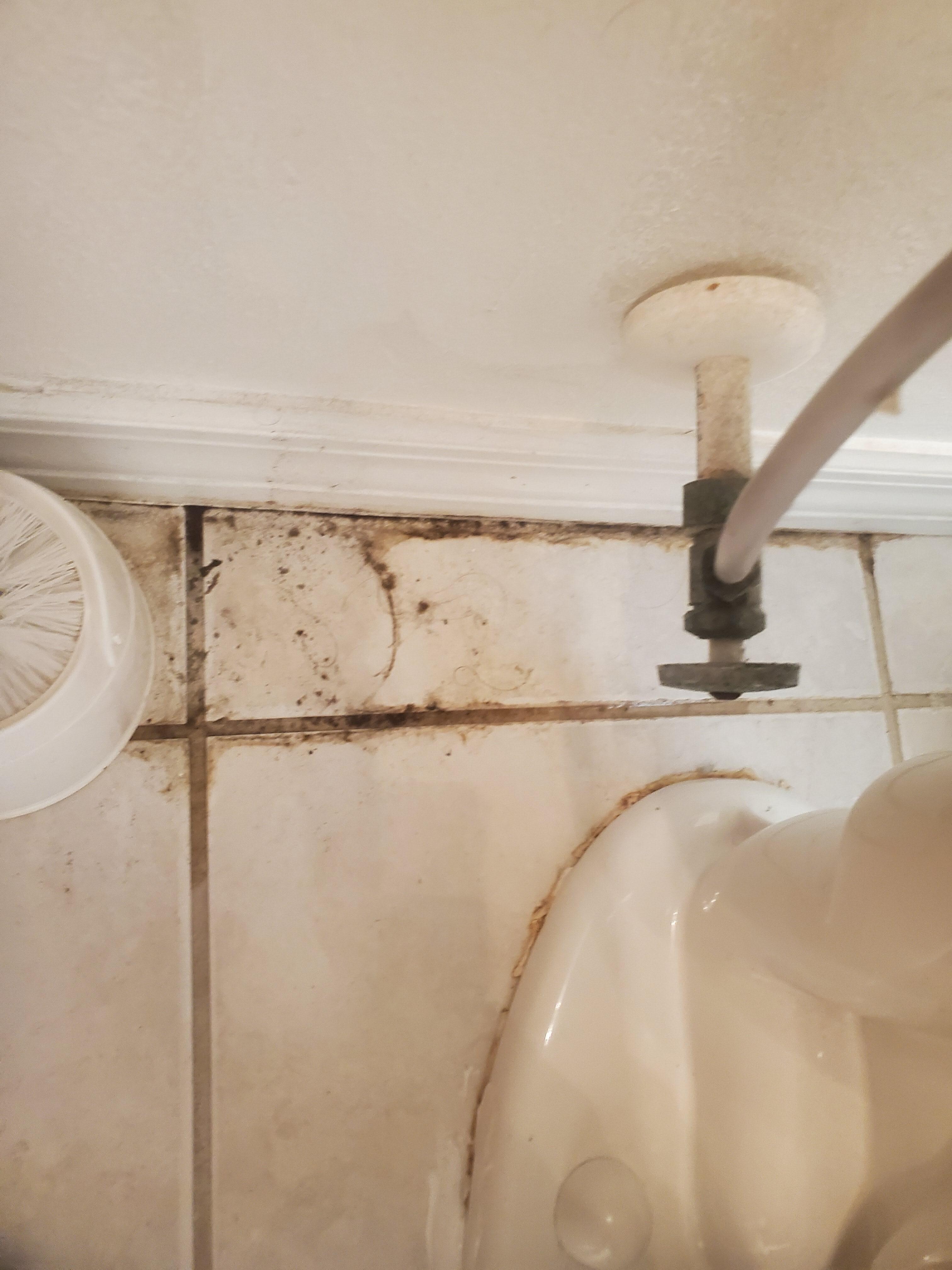 Mold