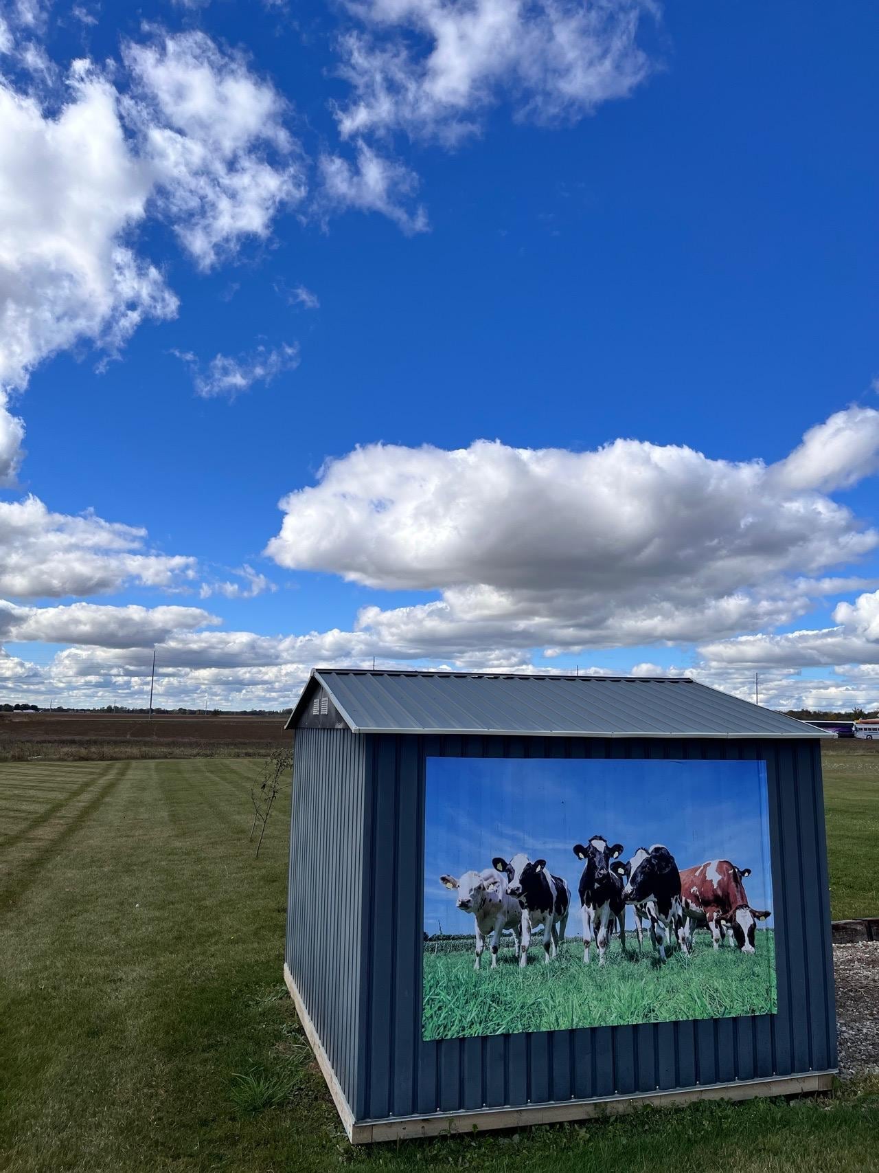Decorated shed on property