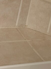 Not even wiped off, dirt and bugs