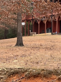 Nature at its finest.