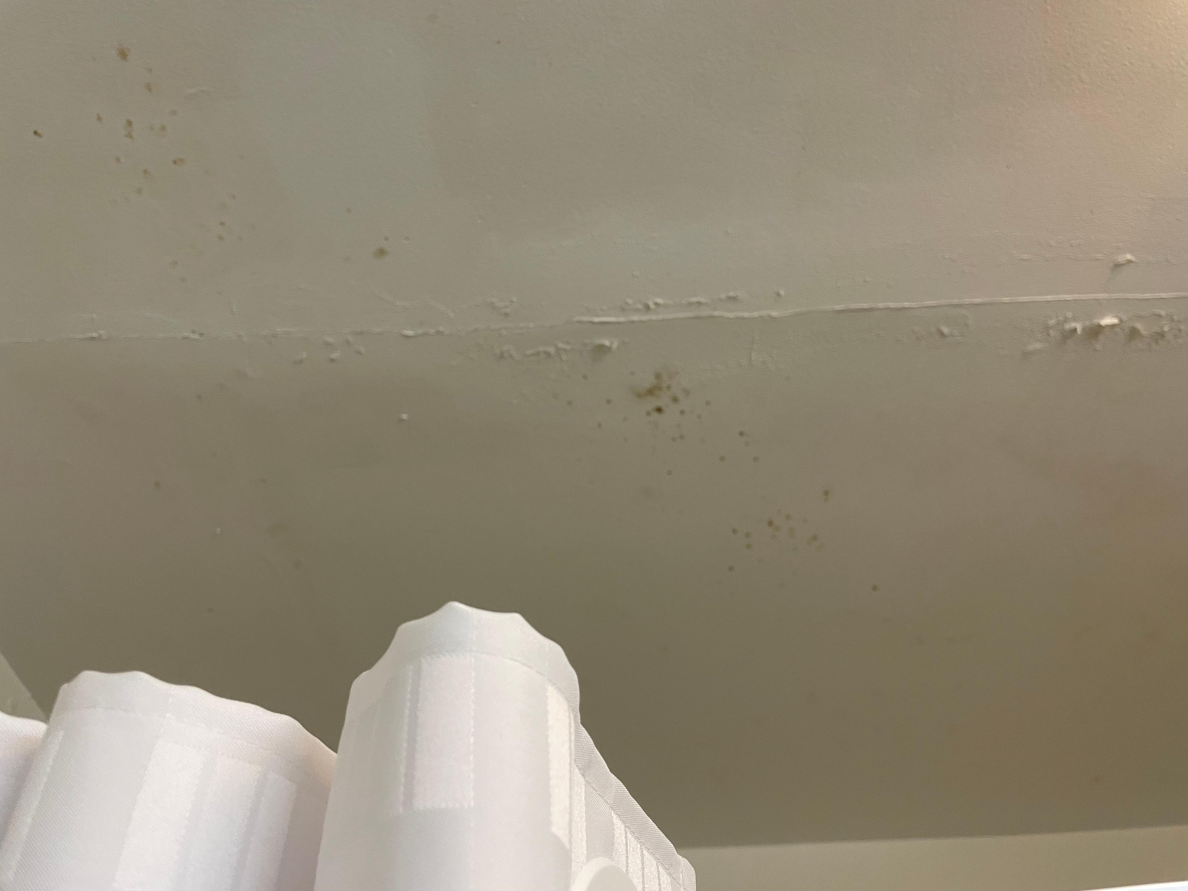Mold on the ceiling in bathroom