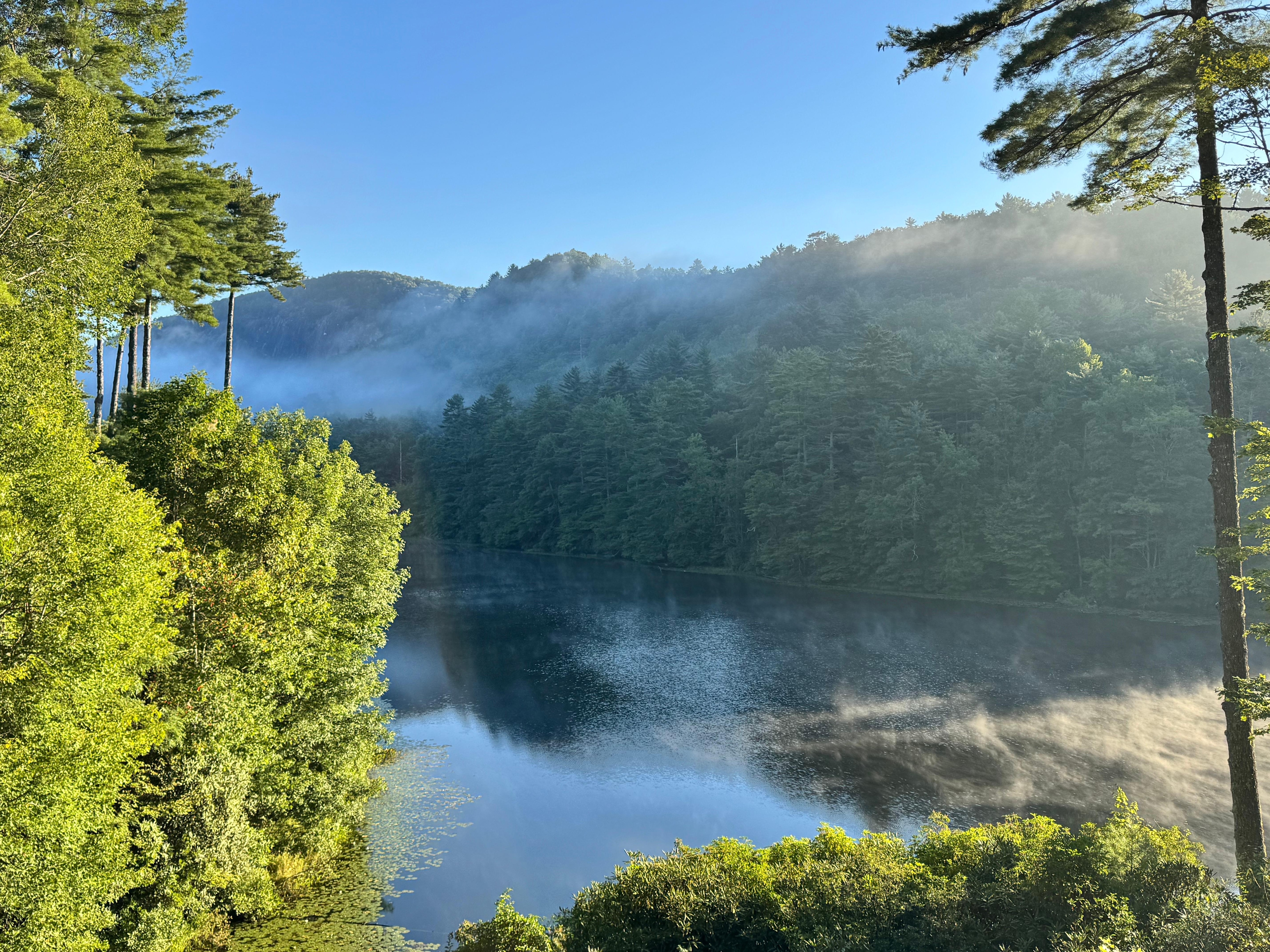 Views from the porch 