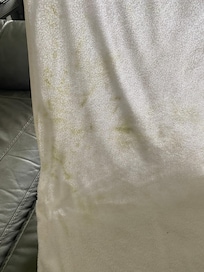 Stained towel