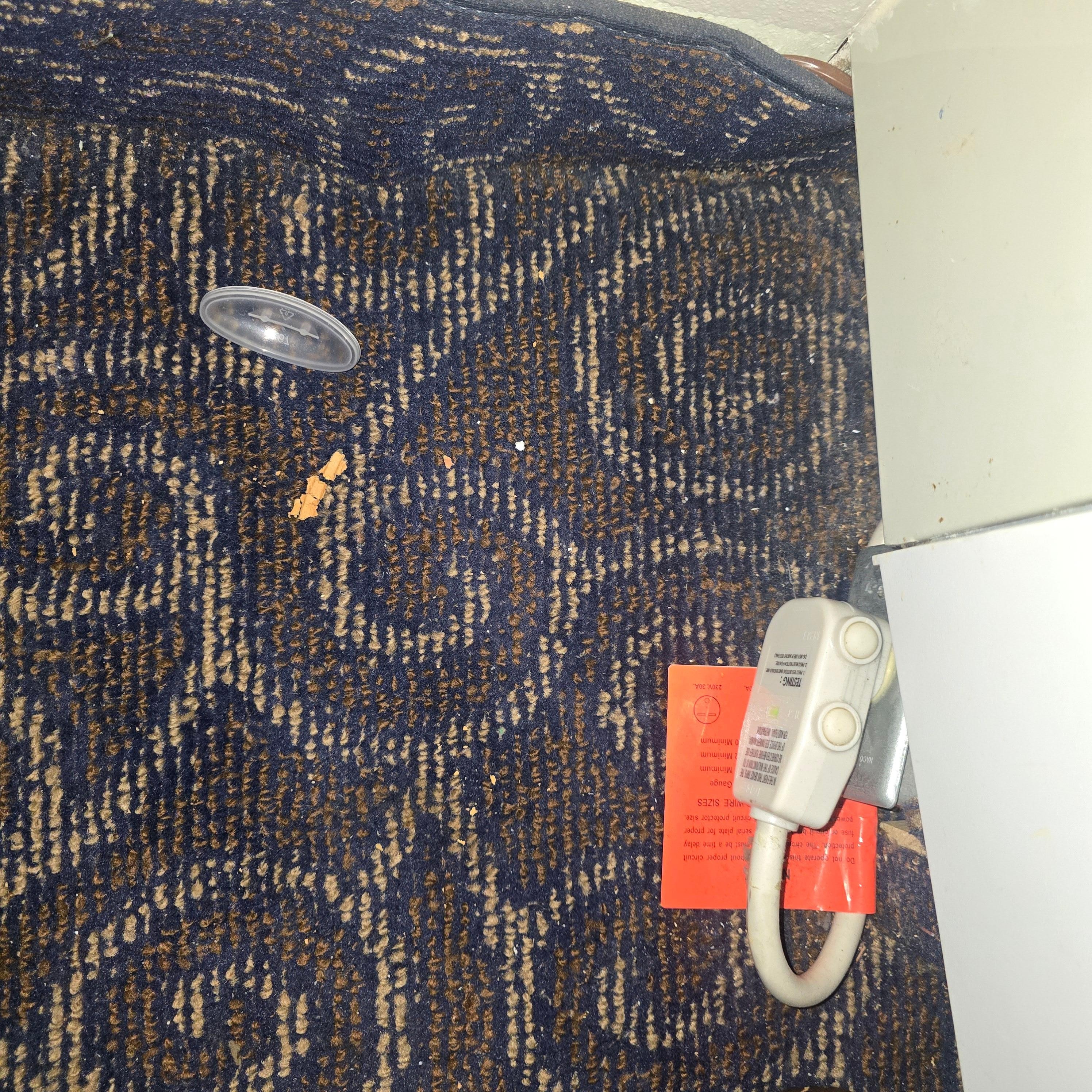 Dirty carpet not vacuumed 