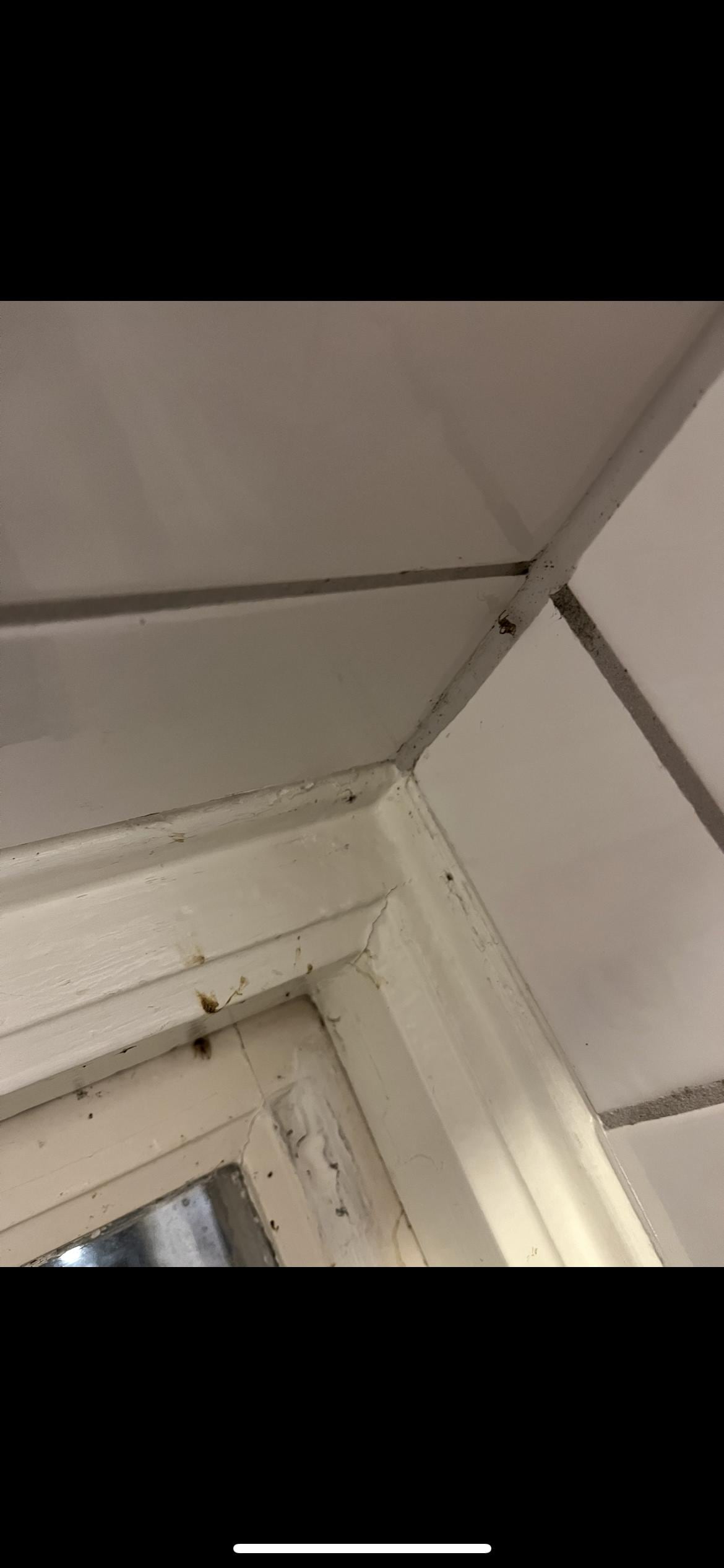 Smutsigt, dålig standard