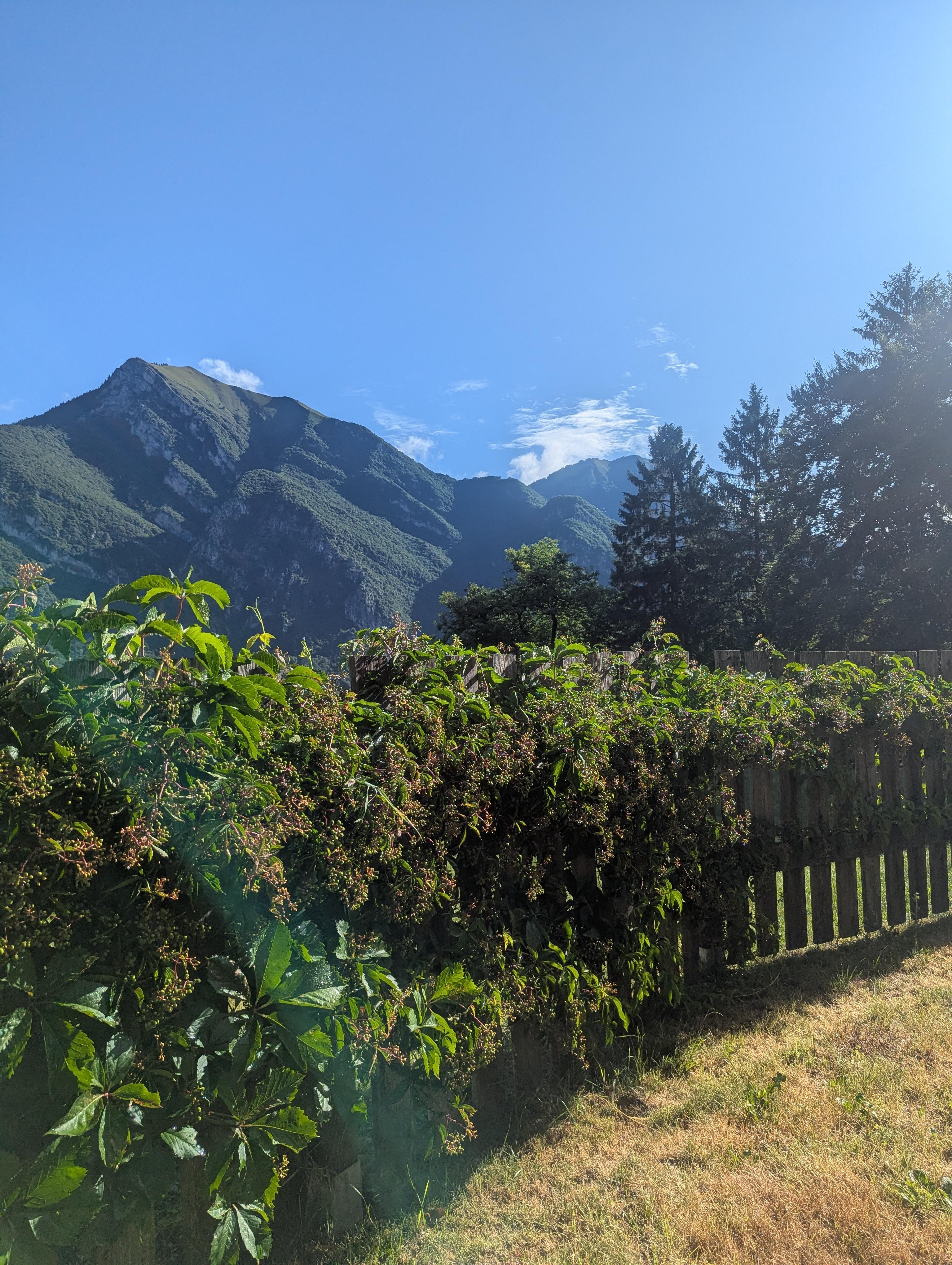 Garden view