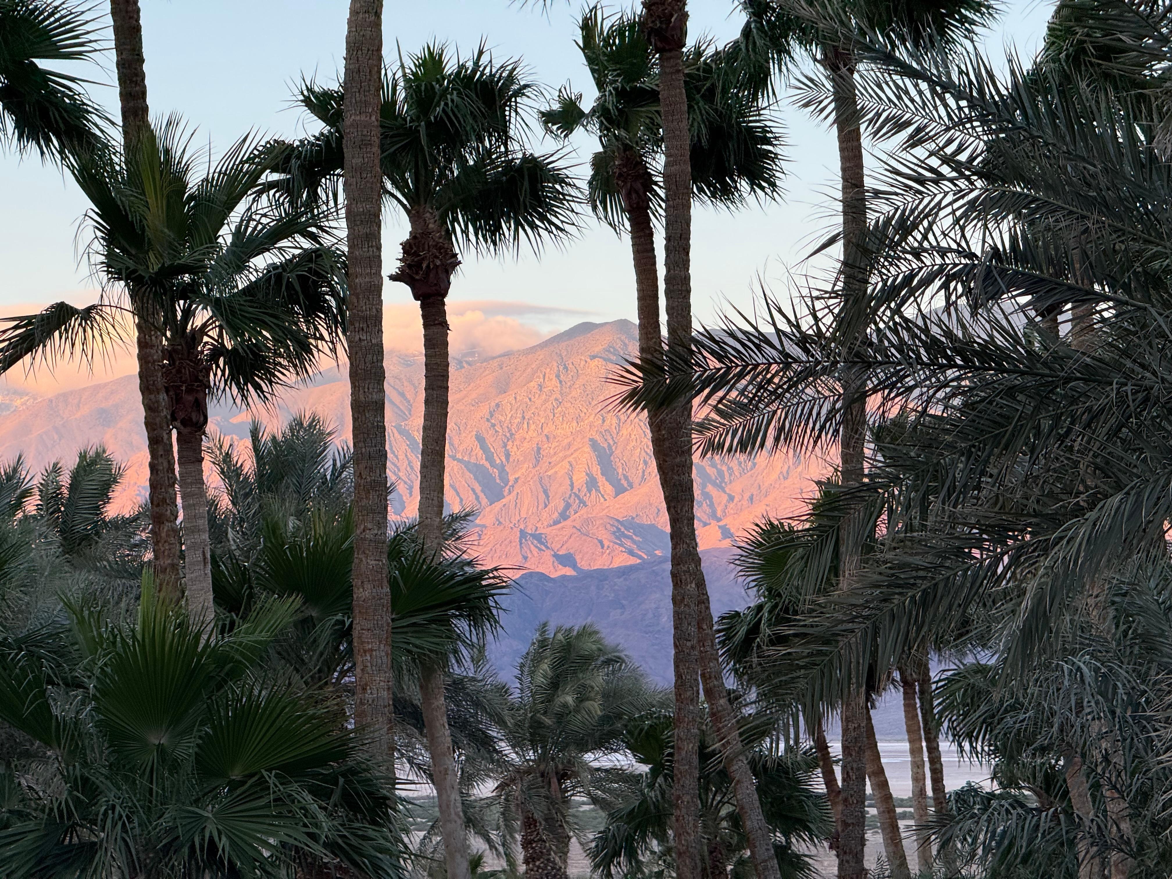View from one of the pathways through the resort 