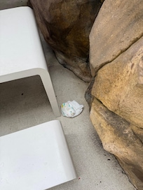 Dirty nappies around the pool