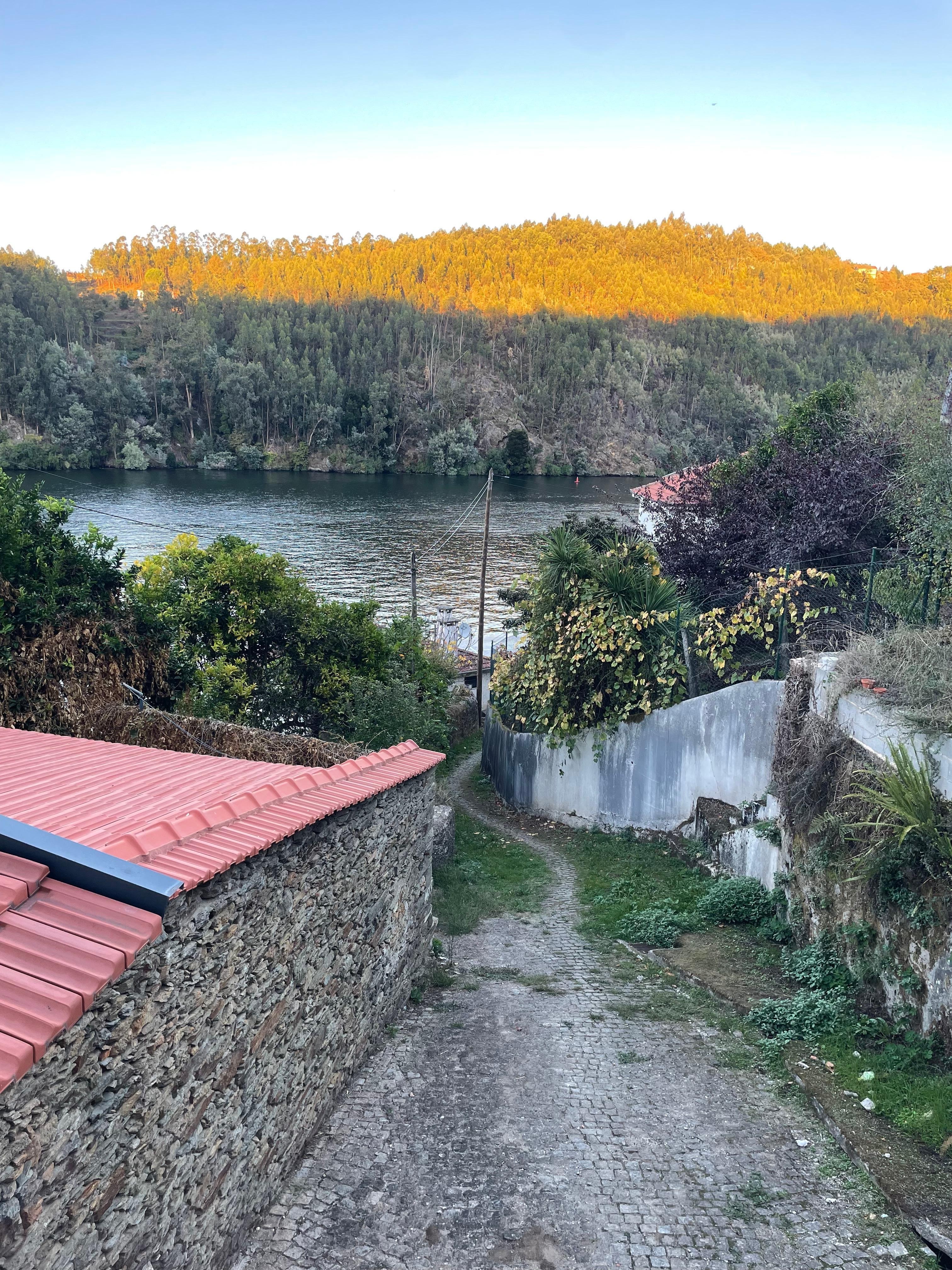 Het uitzicht van het terras