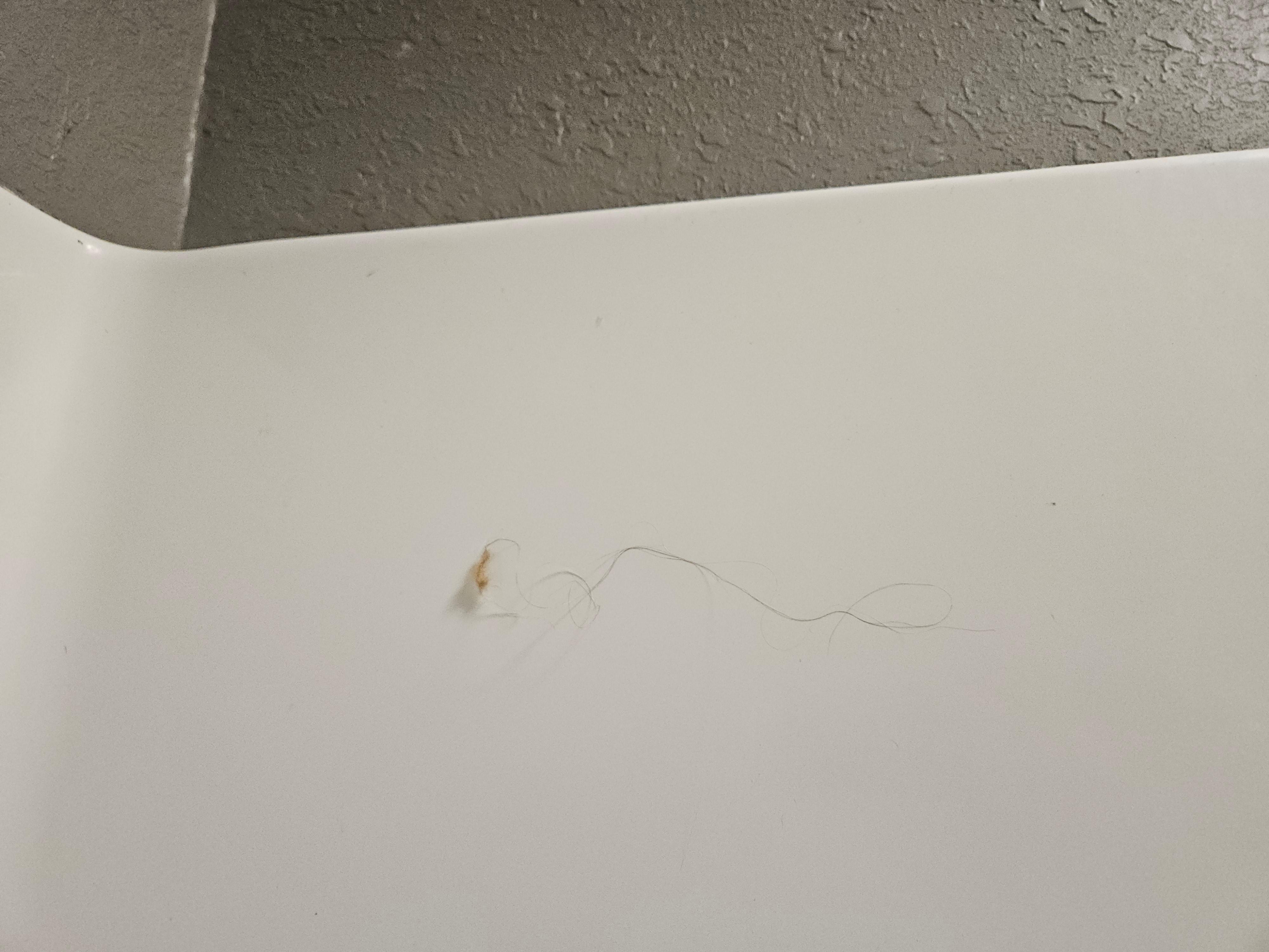 Hair attached to shower wall