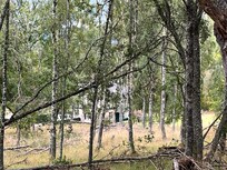 Woodland surroundings