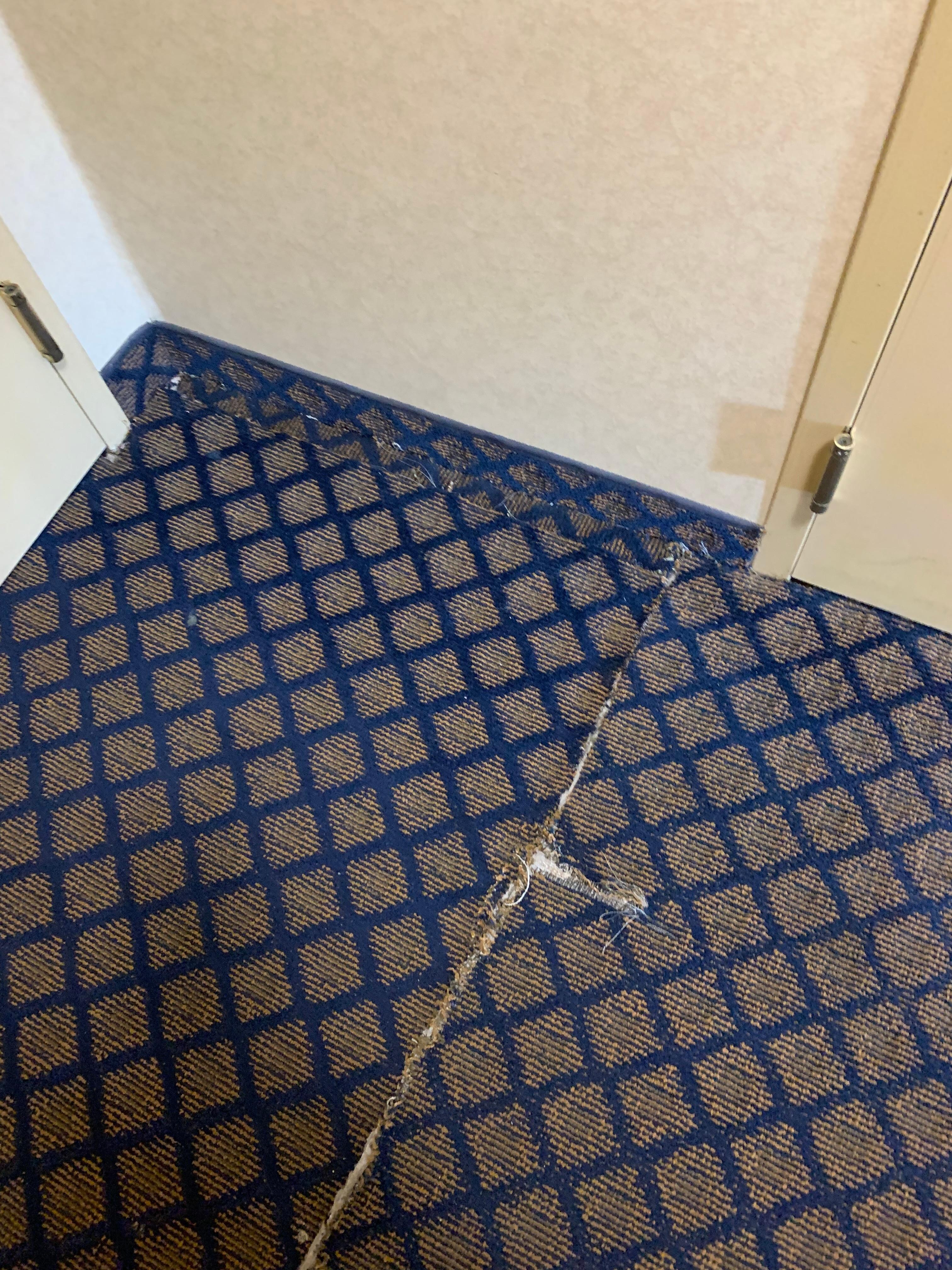 Carpet piece together in four sections by the door