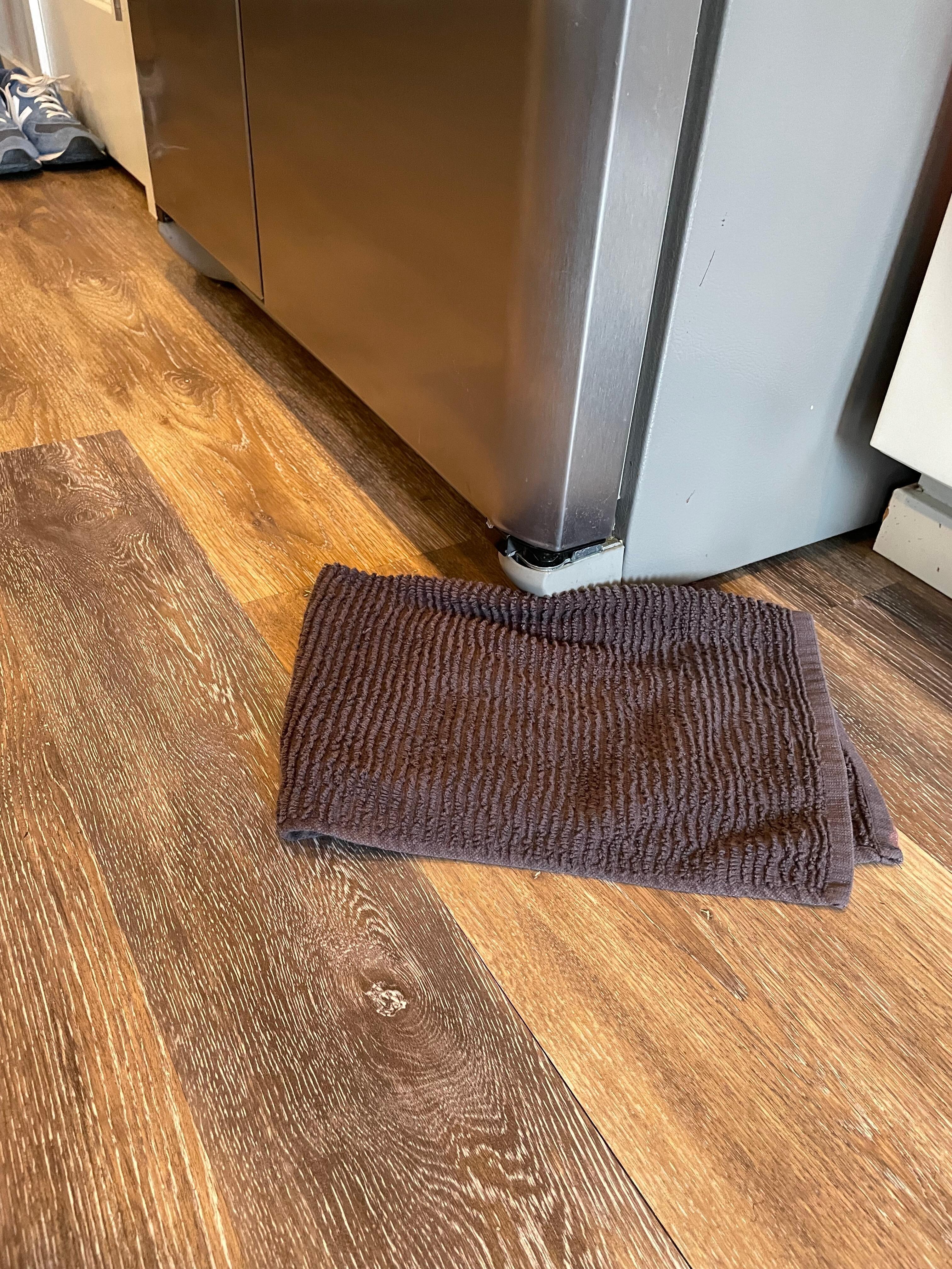 Towel needed for refrigerator leak
