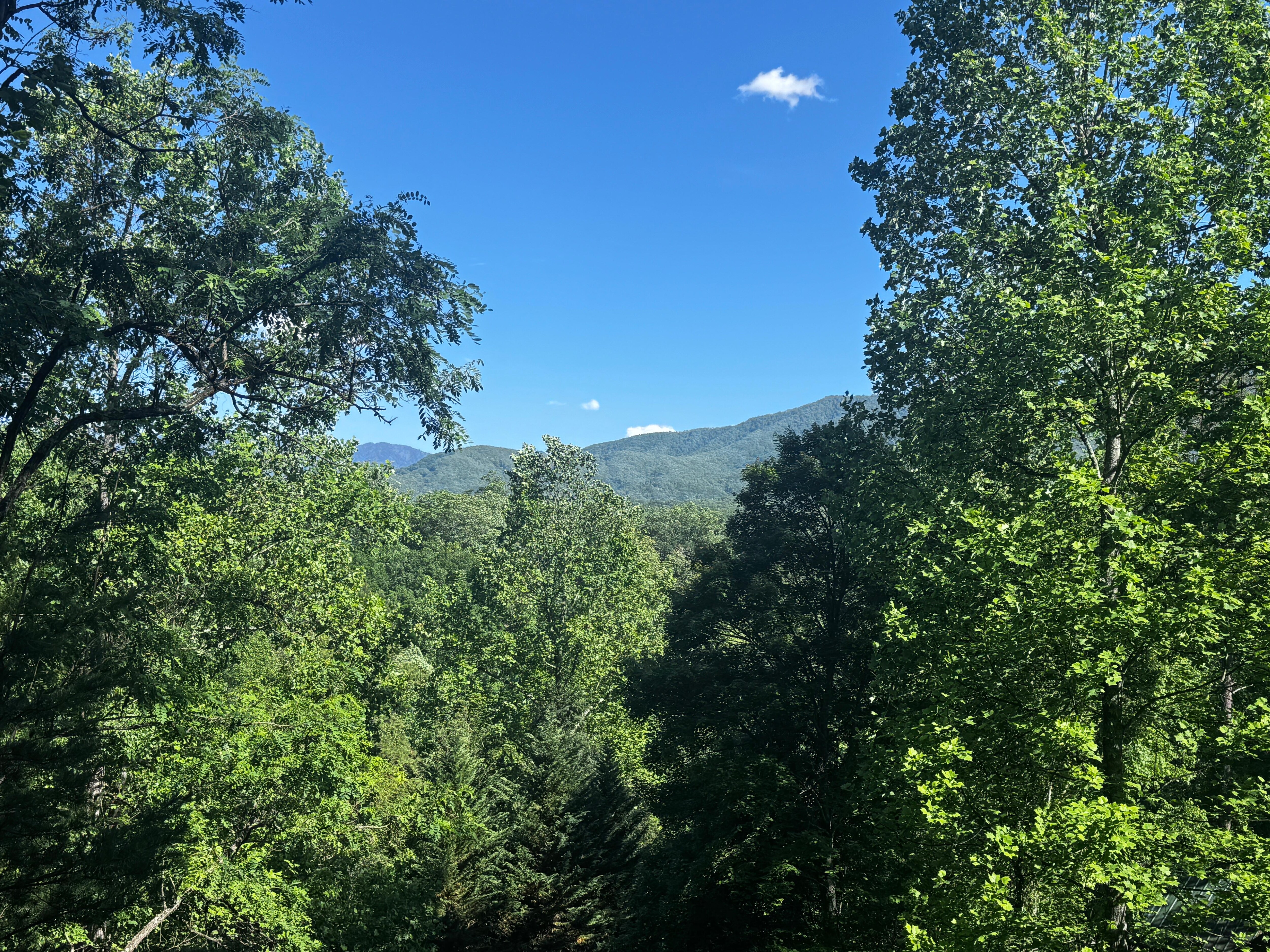 View from deck