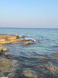 The coves