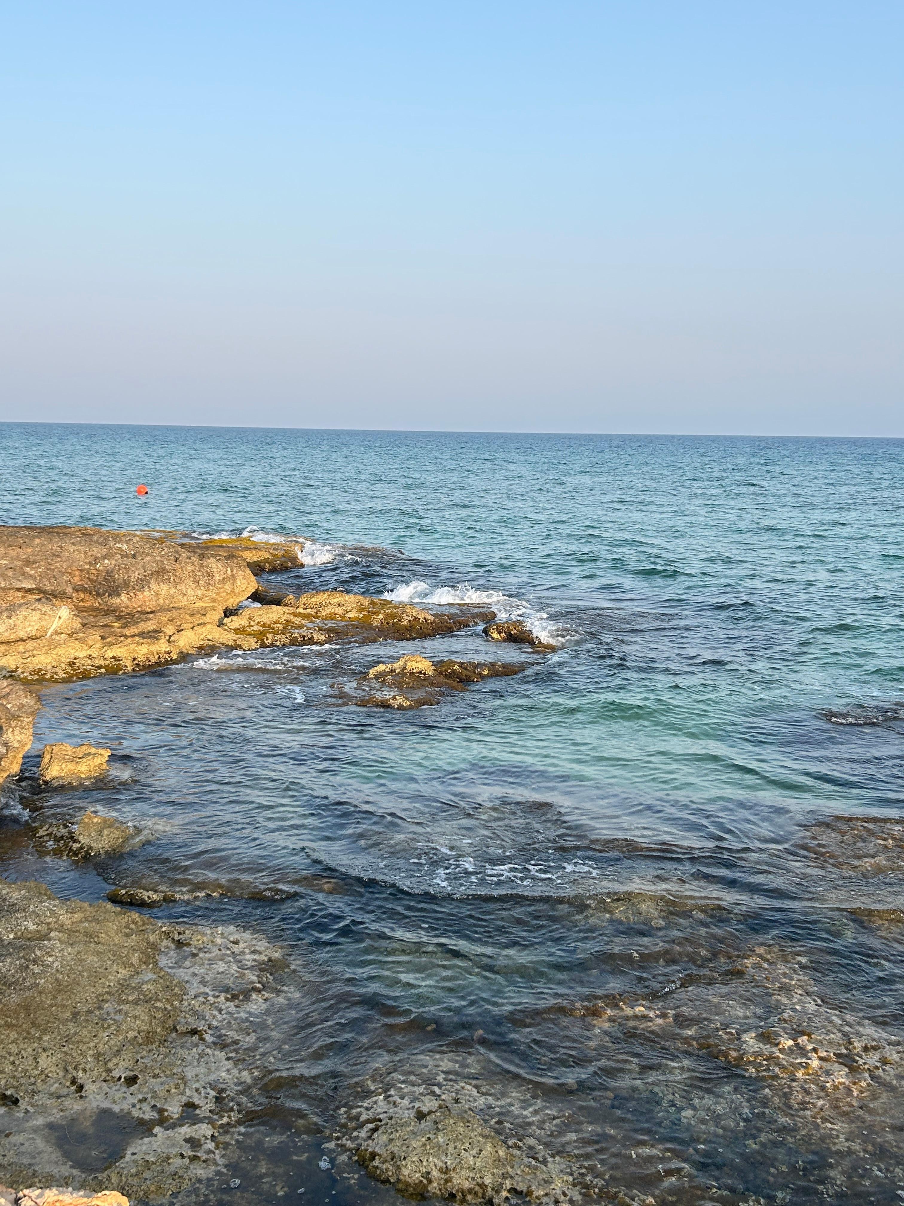 The coves