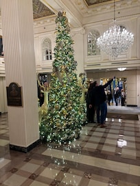 It’s beginning to look a lot like Christmas 🎄