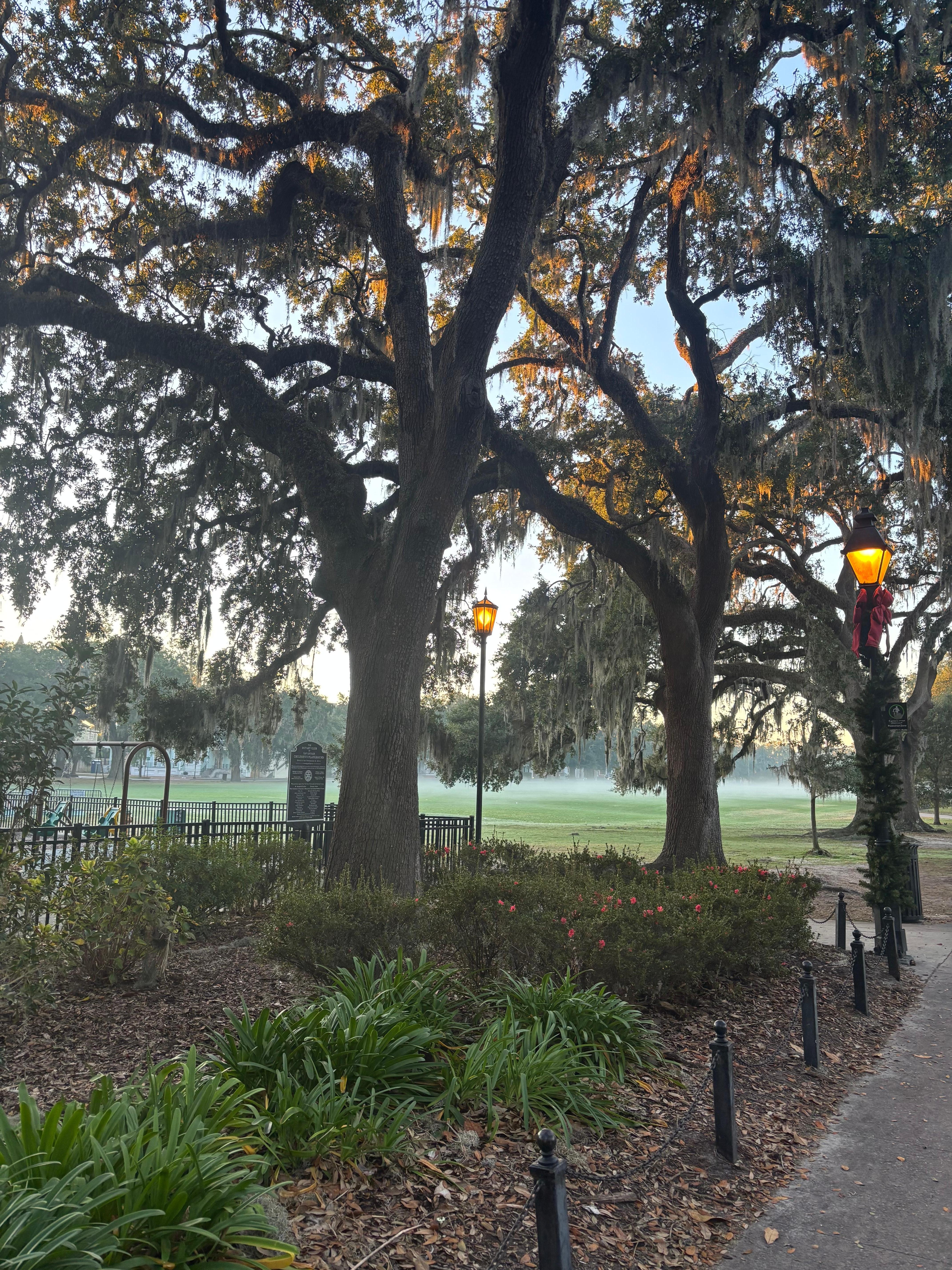 Early morning Forsyth park walk is a must.