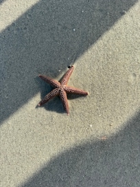 We found this right in front of the beach when we arrived.