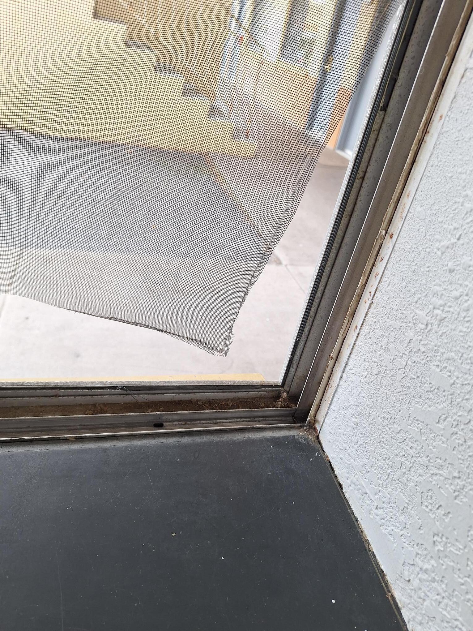 Ripped screen/broken window! No security for our room.