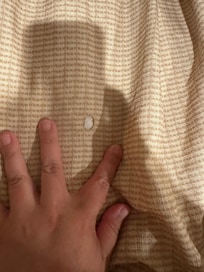 We noticed there was cigarette burns on the bed sheets!