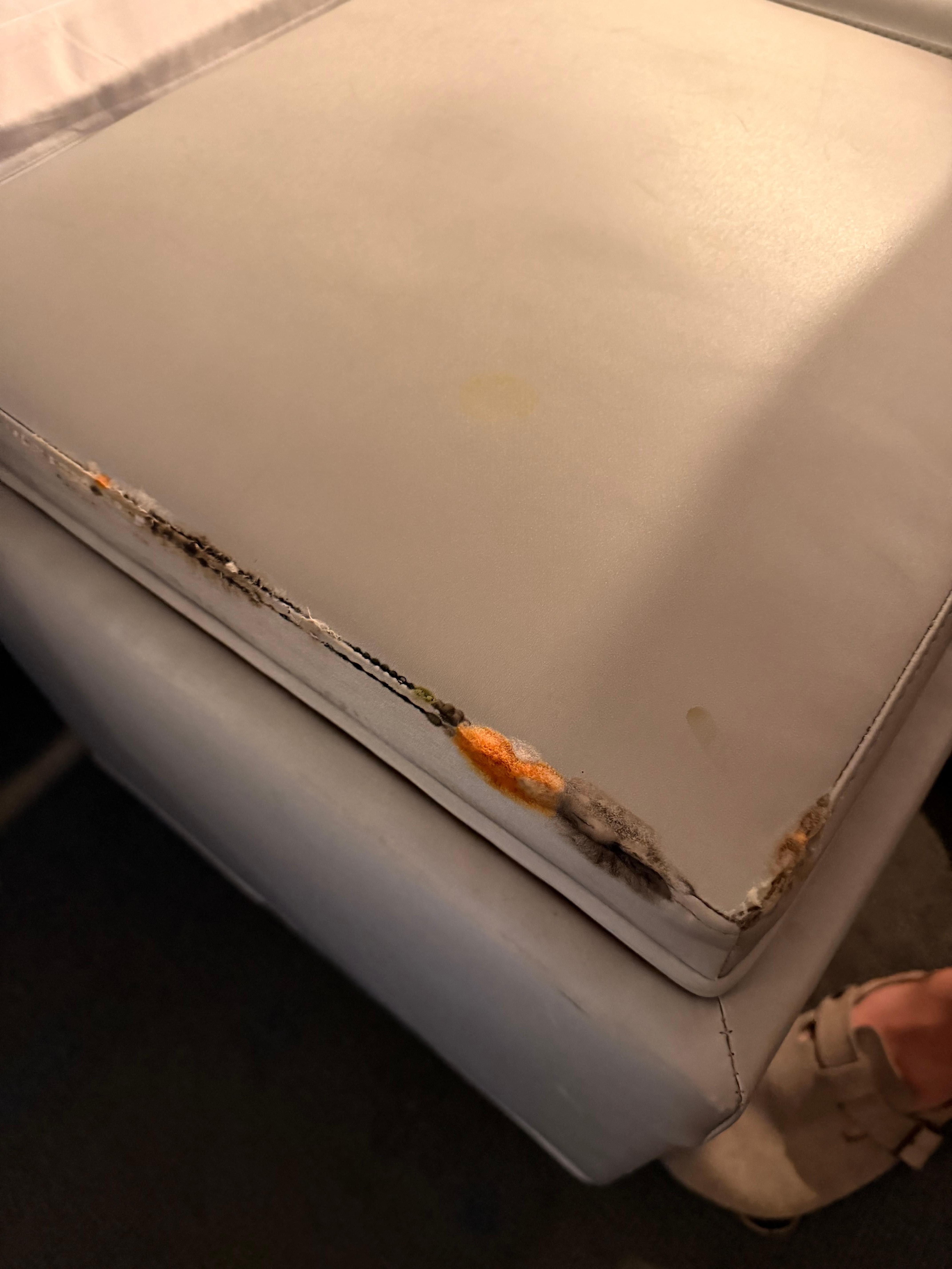 Mold when we flipped the table over was the worst thing in the room…