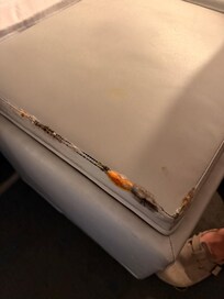 Mold when we flipped the table over was the worst thing in the room…