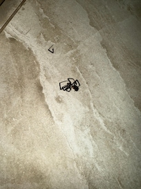 Dead black widow spider I killed the second night we stayed.