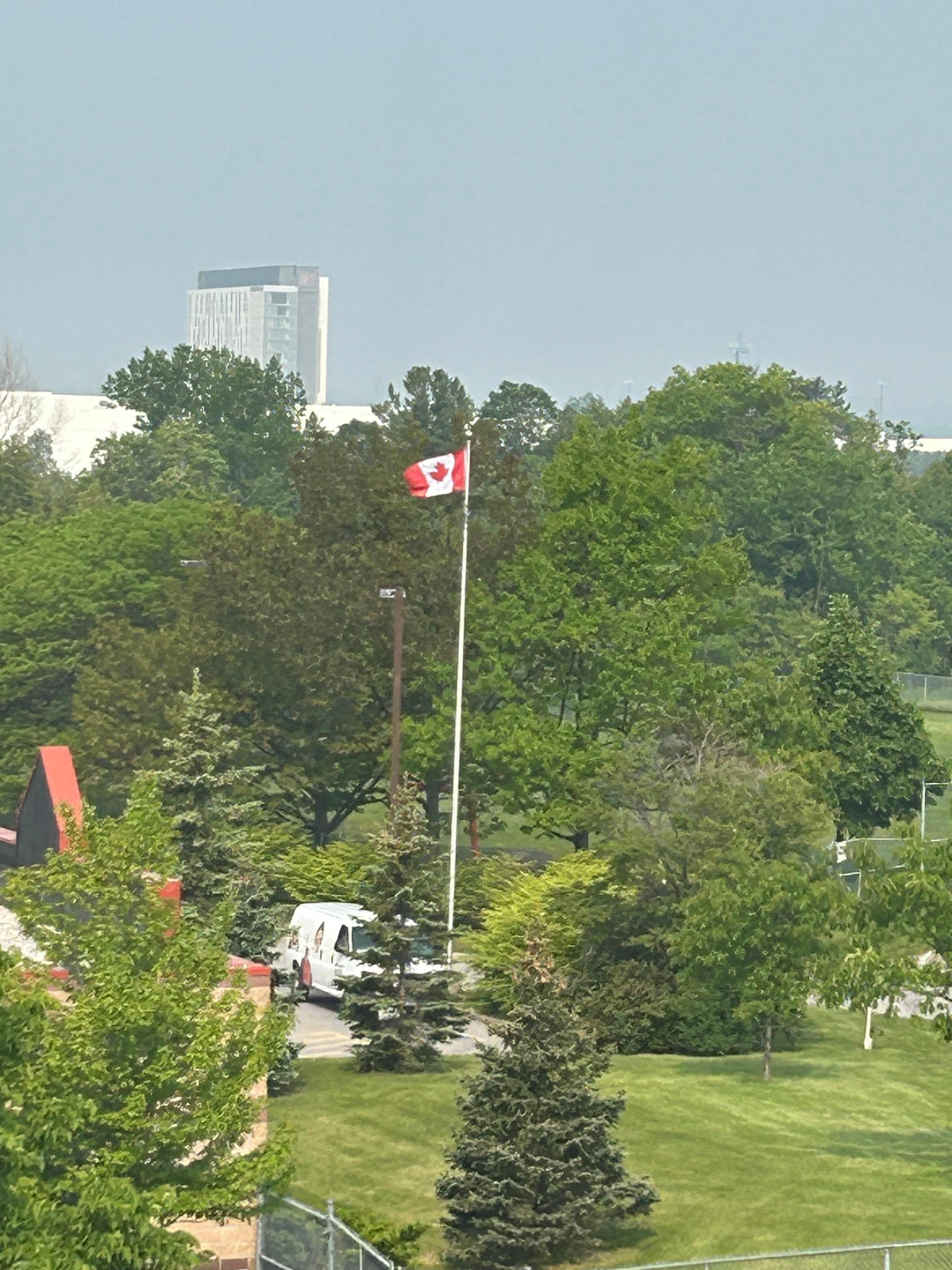La vista desde mi habitación