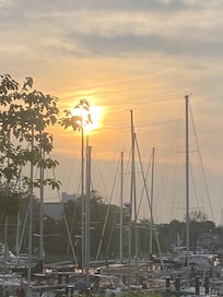 From the deck as well