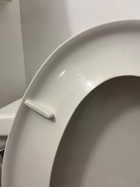 Urine