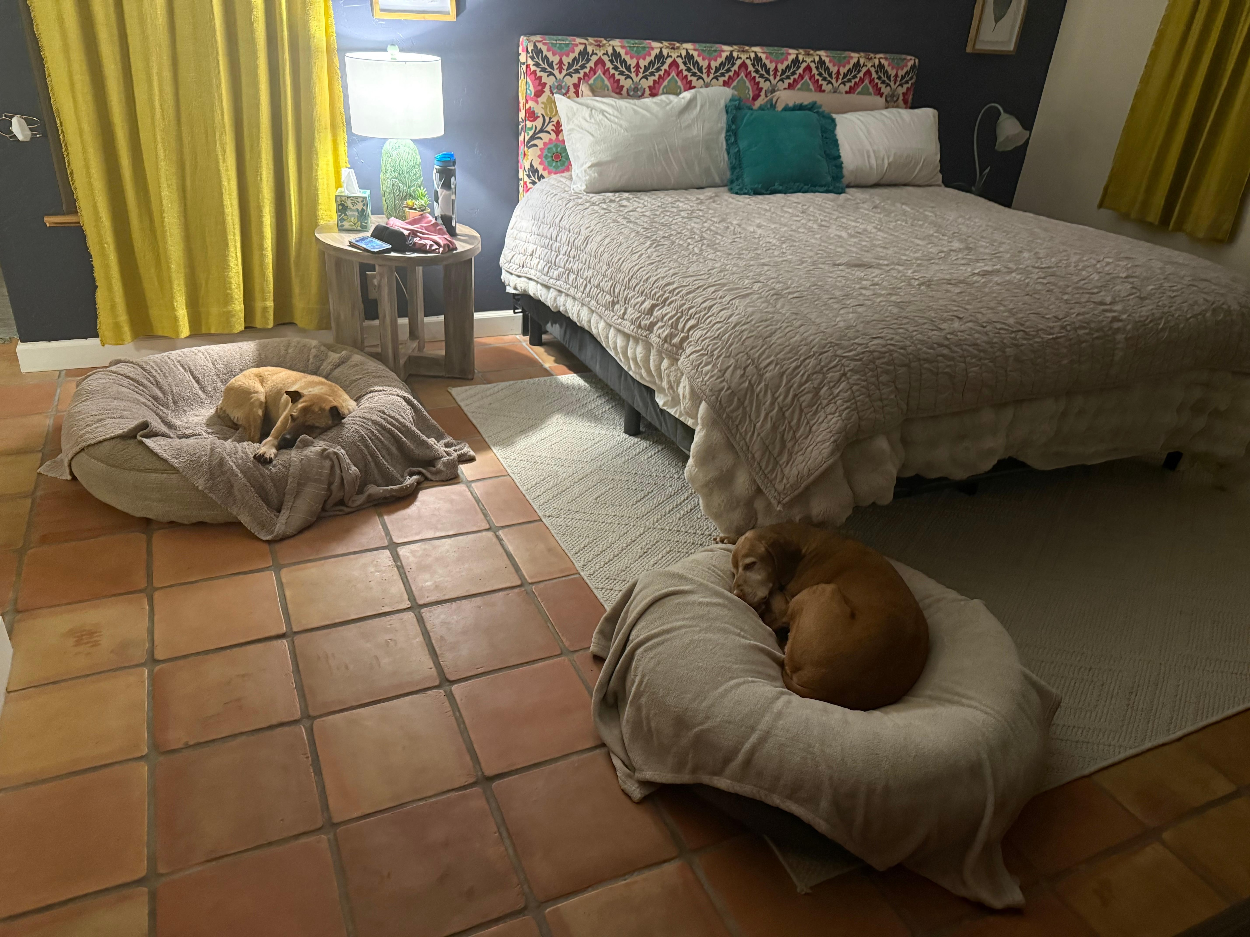 The master was so spacious and our pups felt right at home!