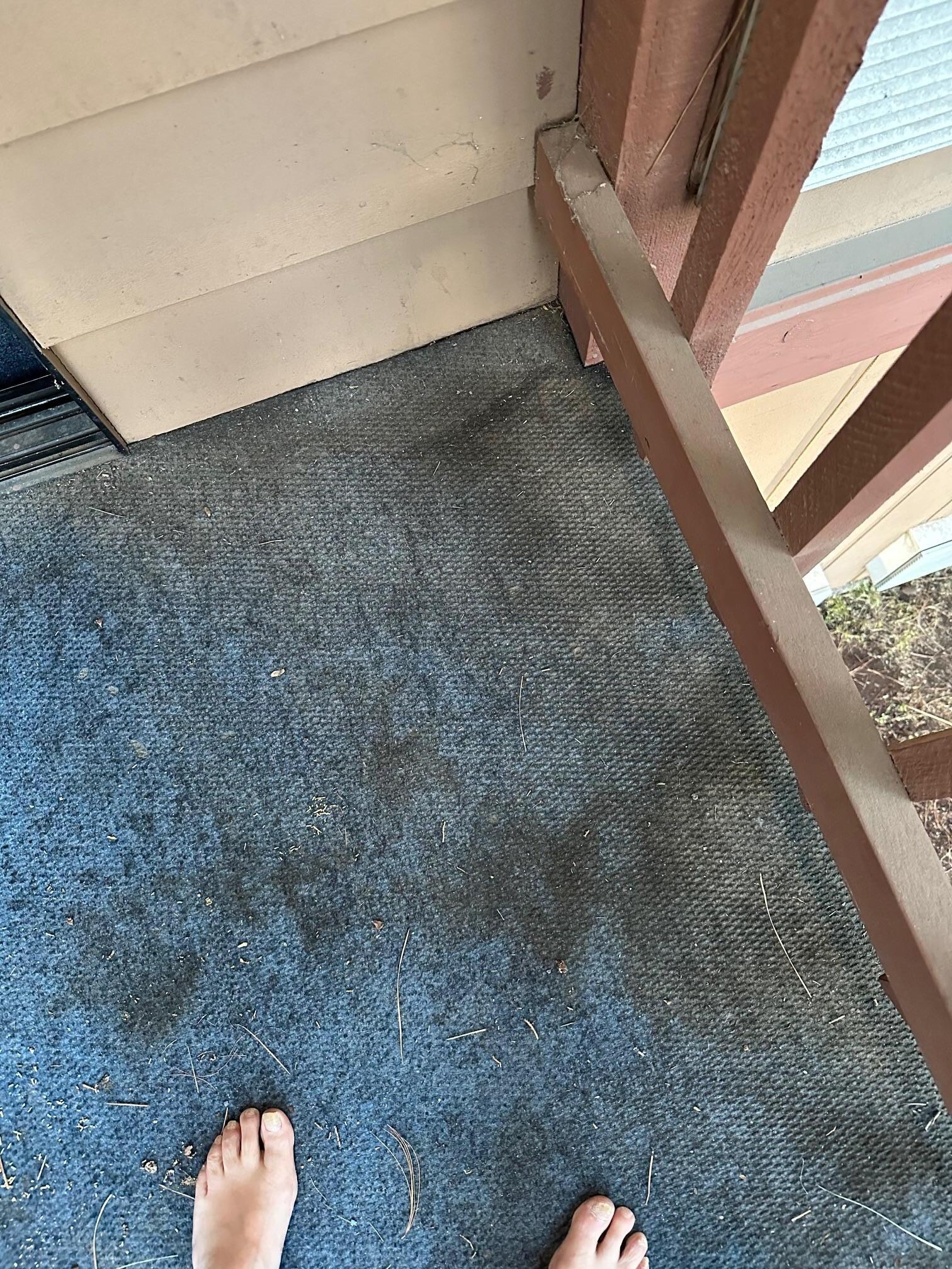 Dirty moldy carpet
We took mostly movies and cannot ad them on this site, where can we upload the videos?