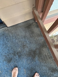 Dirty moldy carpet
We took mostly movies and cannot ad them on this site, where can we upload the videos?