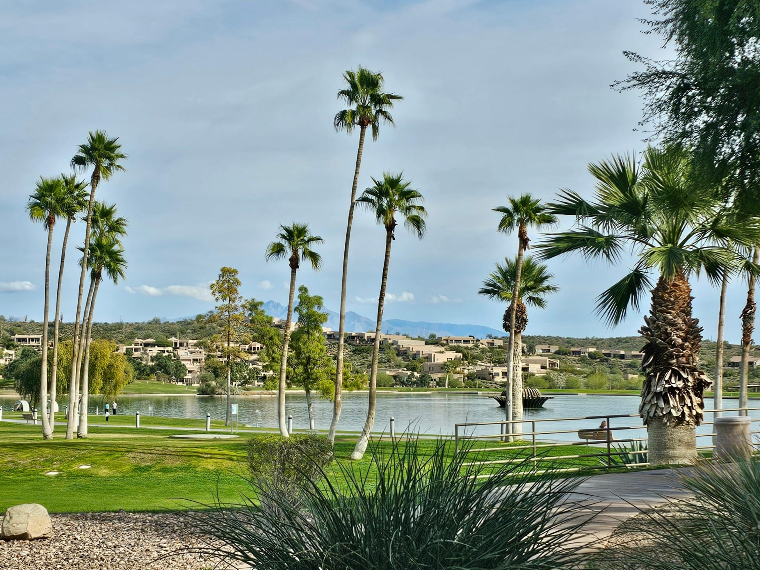 Fountain Park view while on a walk