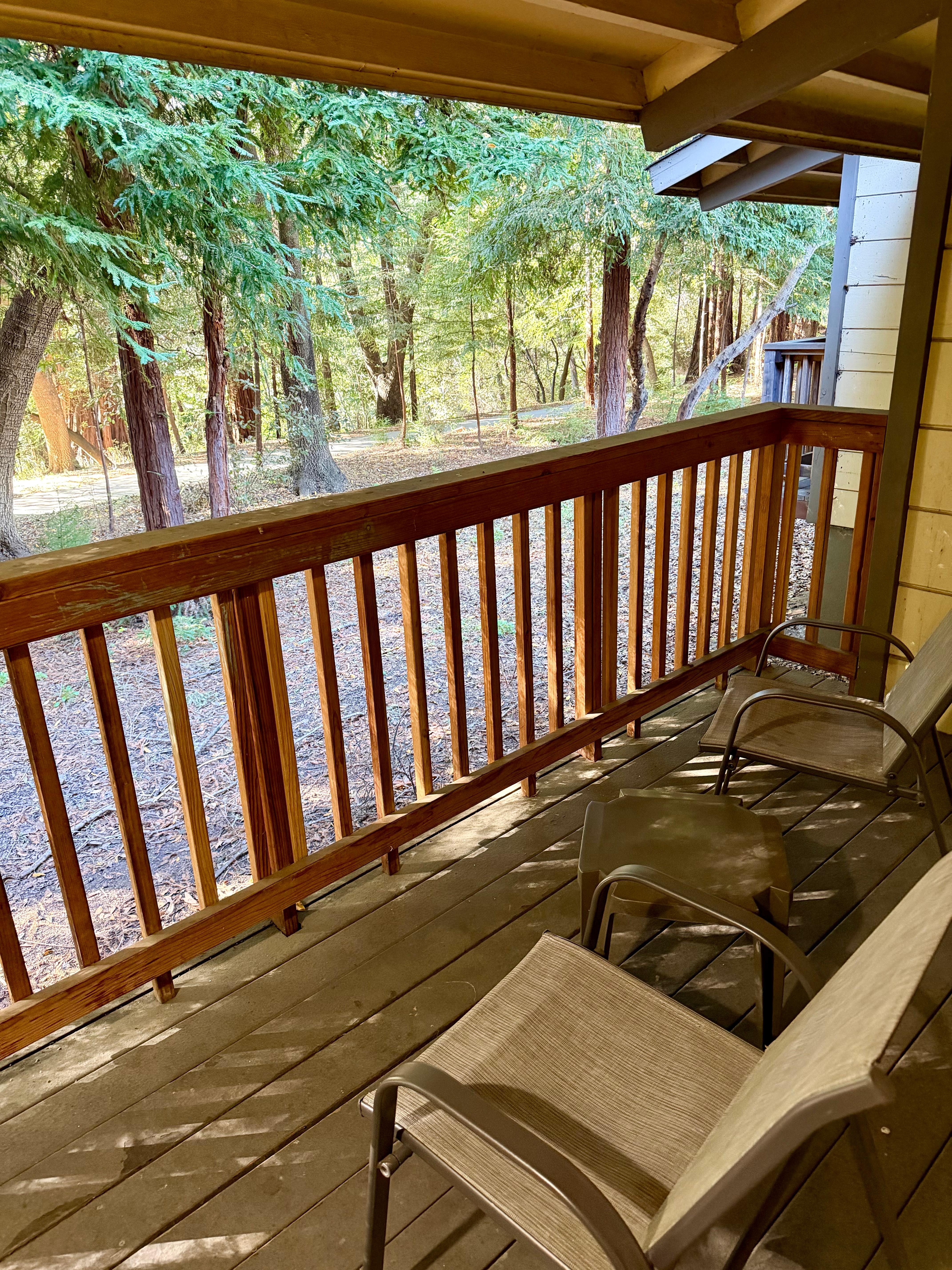 Balcony backed to forest