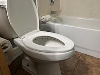 mold on top of toilet