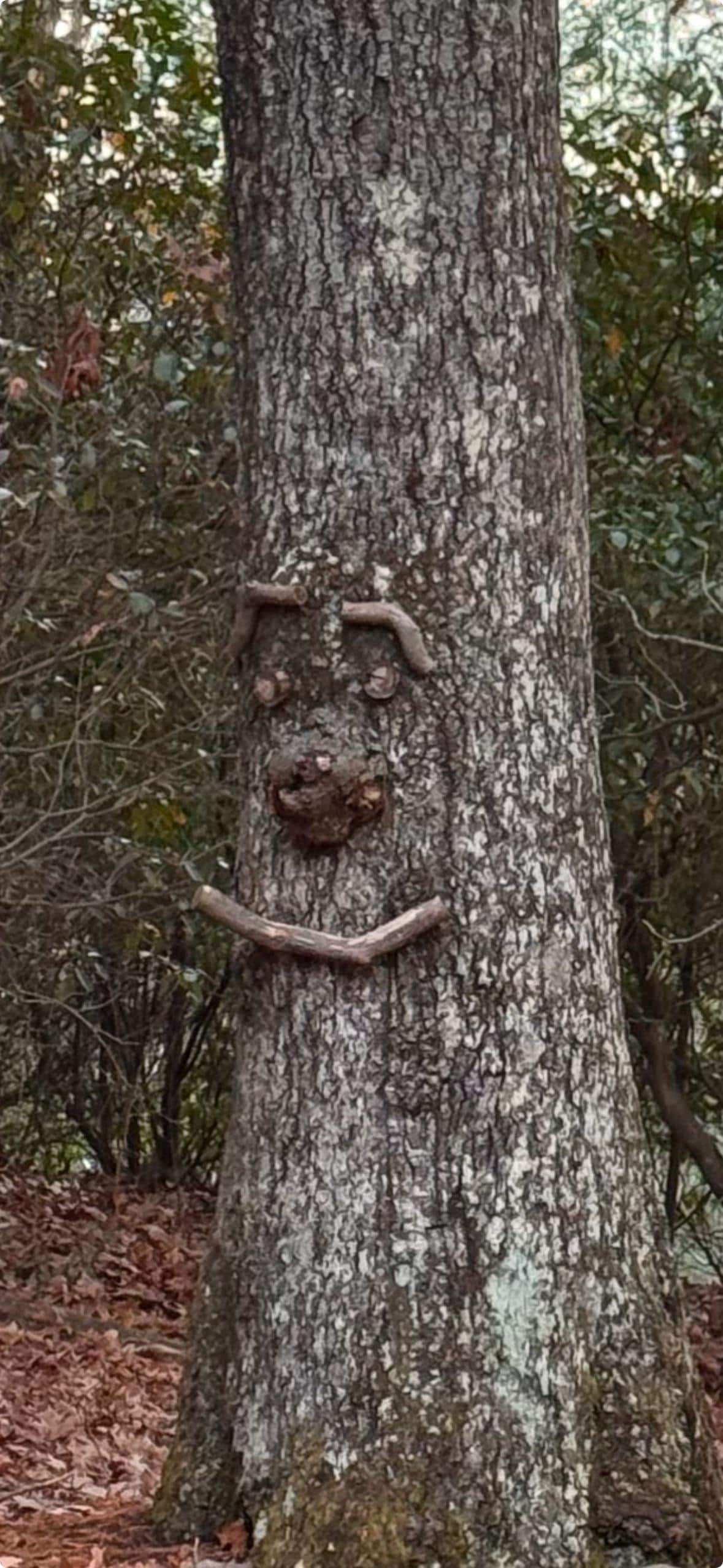 Bigfoot right outside LOL