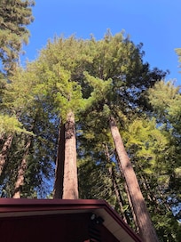 Backyard view was beautiful!