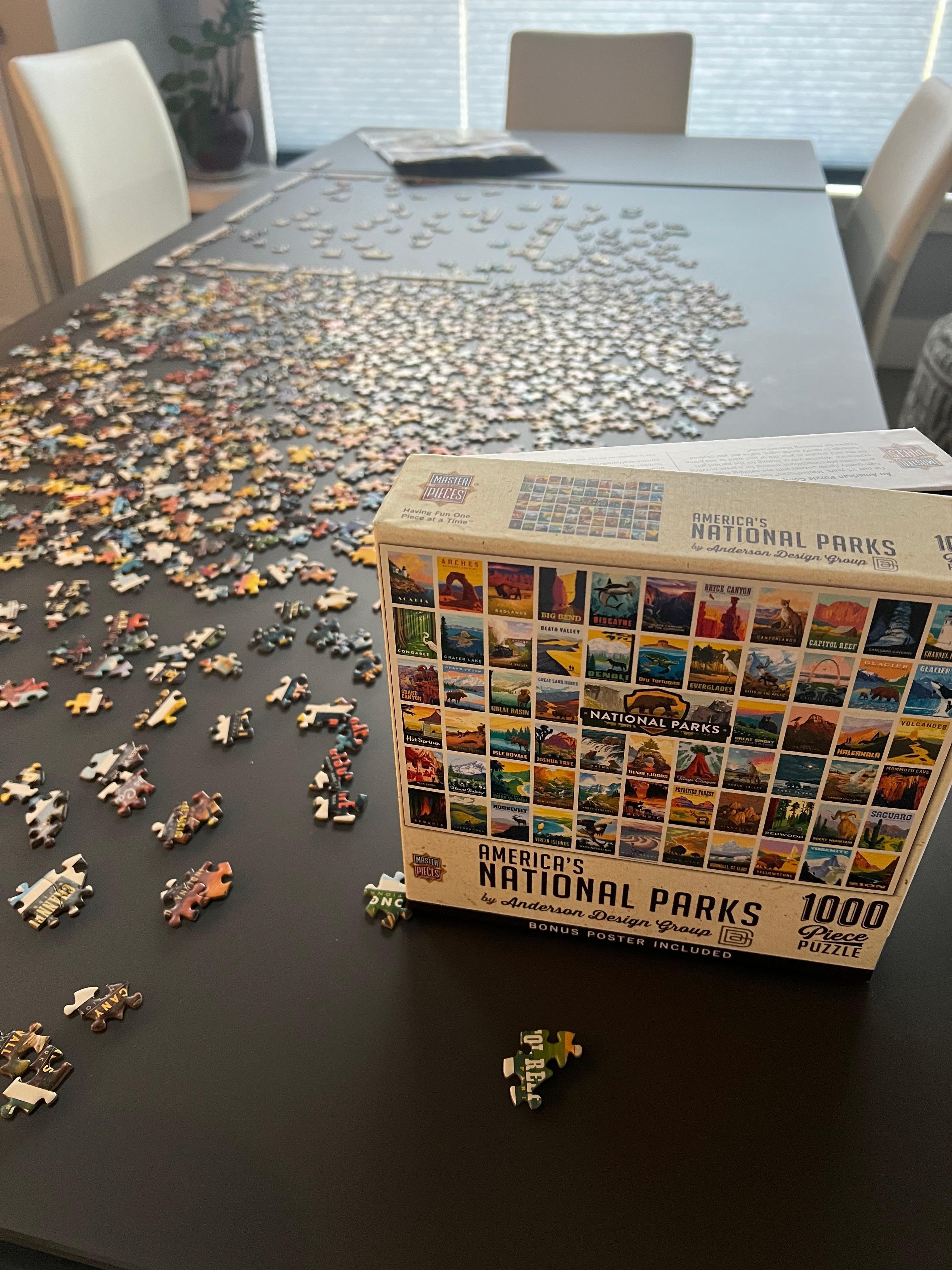 We did a 1,000 piece National Parks puzzle on the dining room table. 