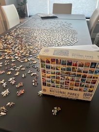 We did a 1,000 piece National Parks puzzle on the dining room table.