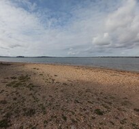 Brownsea island