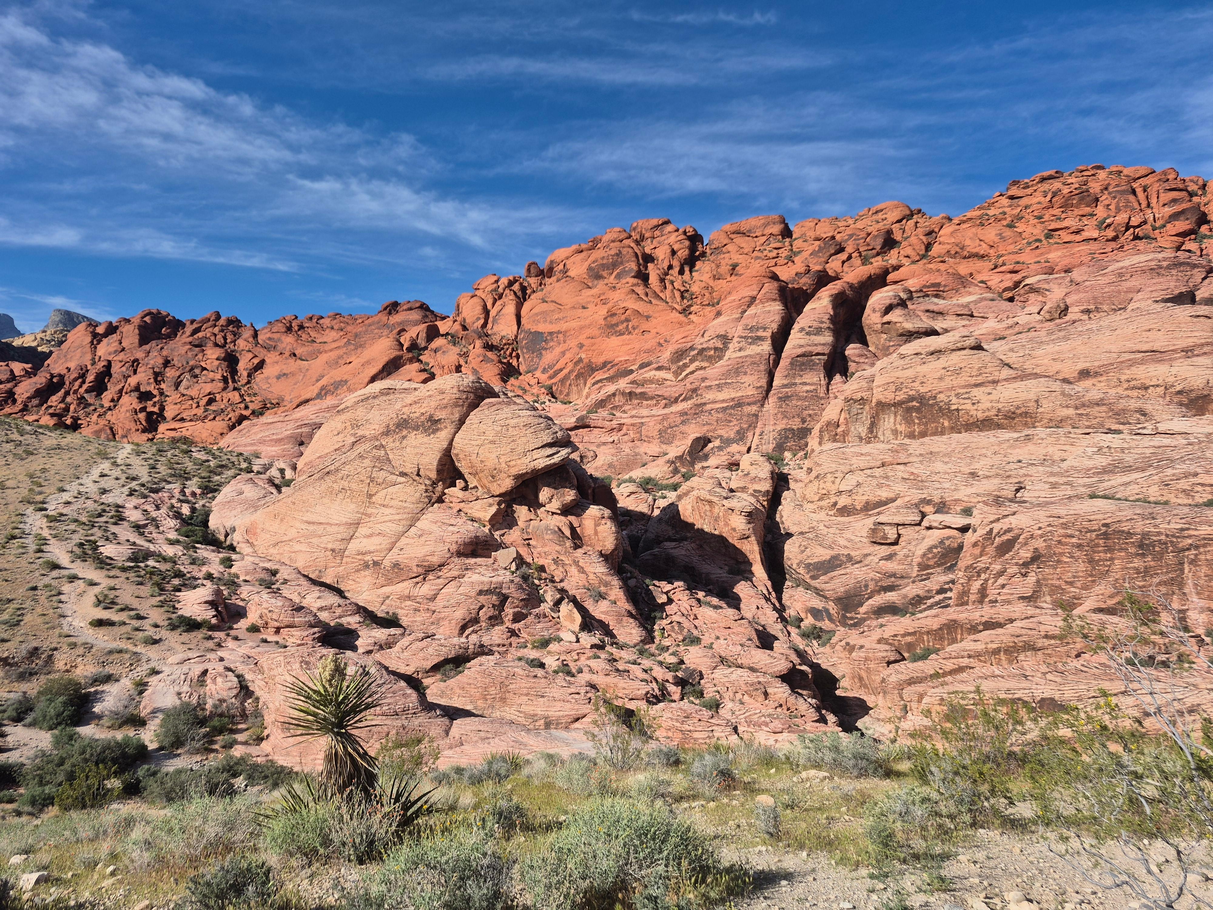Red Rock Canyon is only, about 25 miles away.