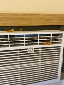 Orange peel in air conditioner