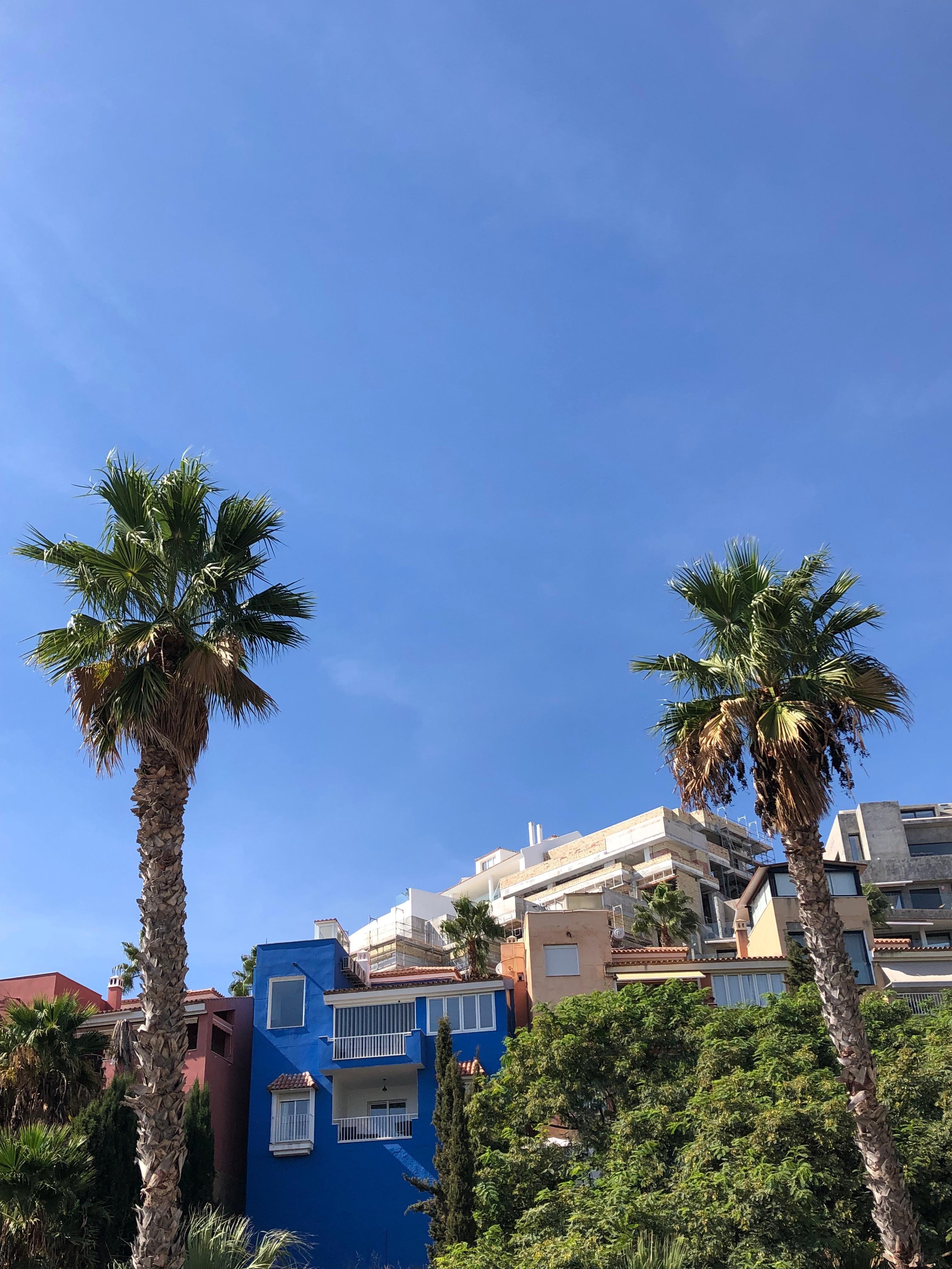 A charming view from our balcony