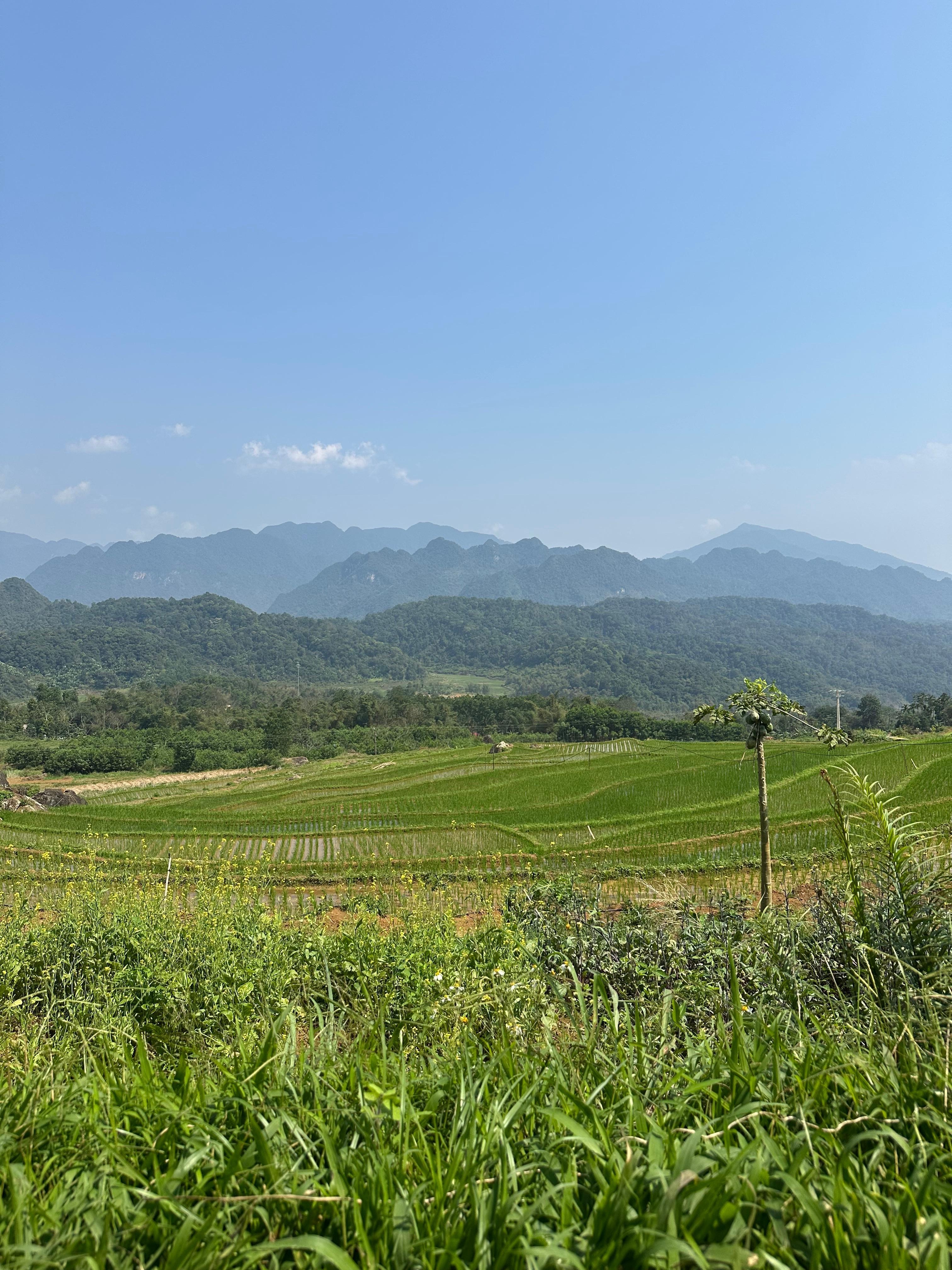 The view from our room/pool