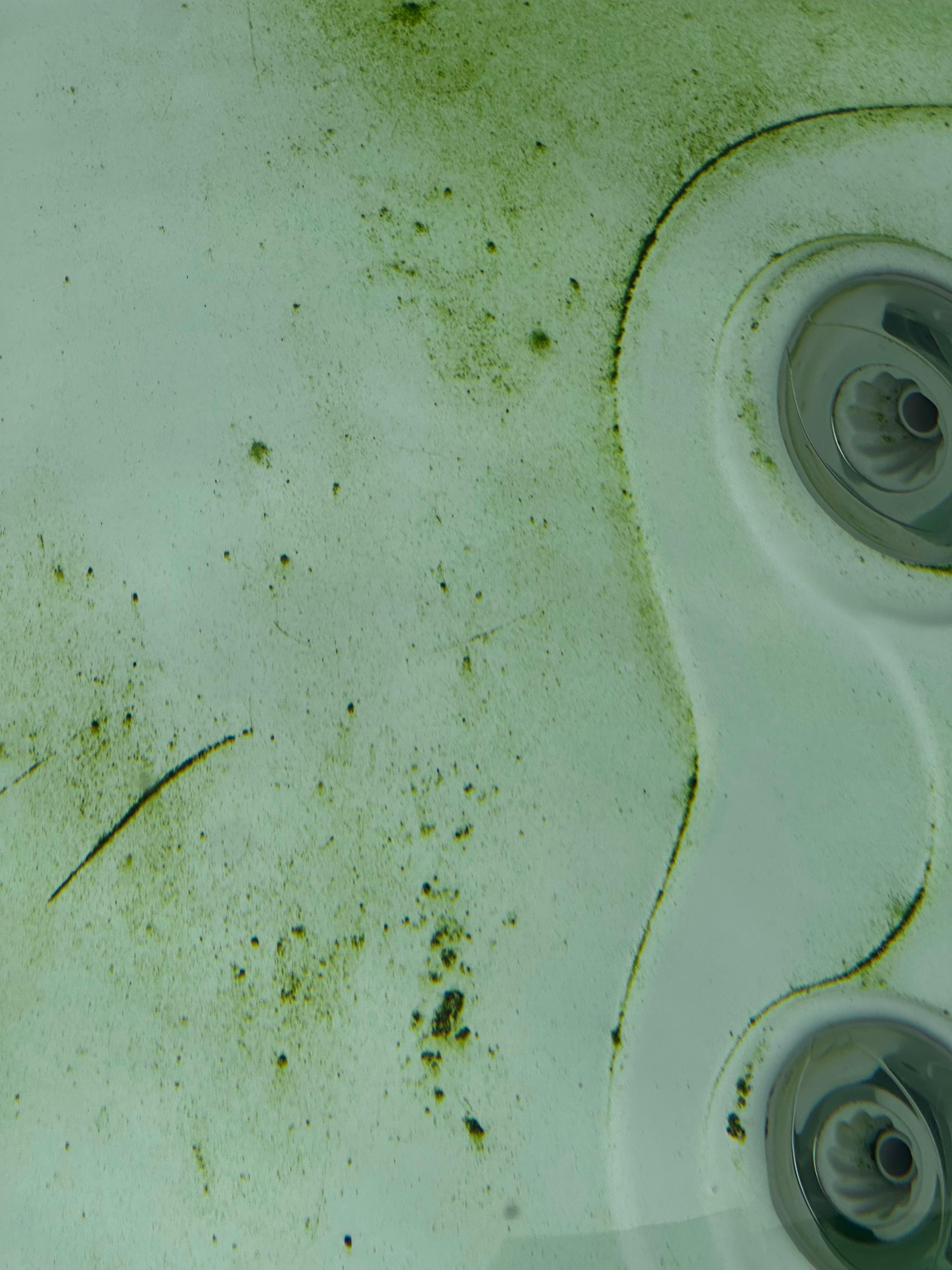 Algae in hot tub